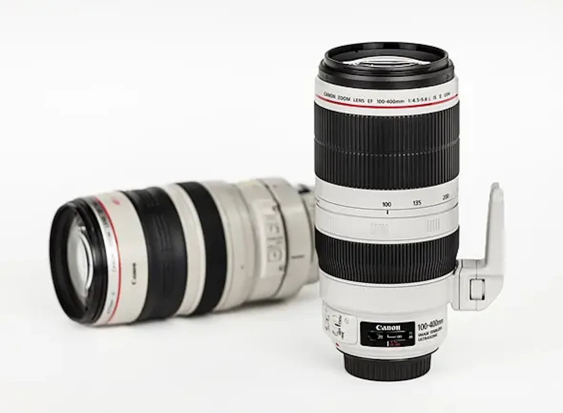 2026年版】EF 100-400mm F4.5-5.6L IS II USMのレビュー比較まとめ